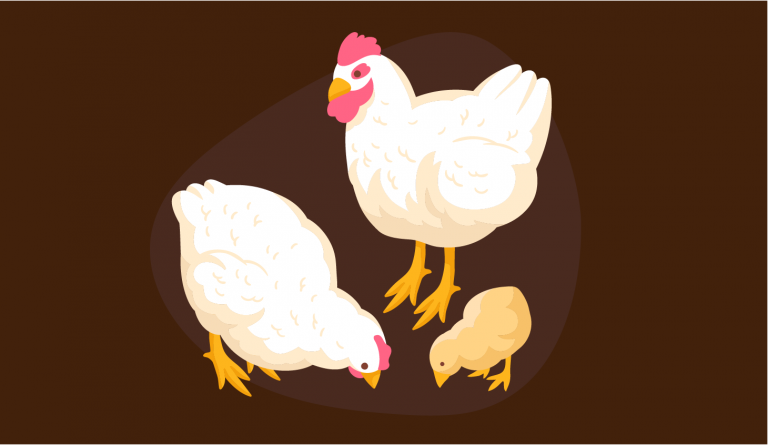 Mortality and bird disposal